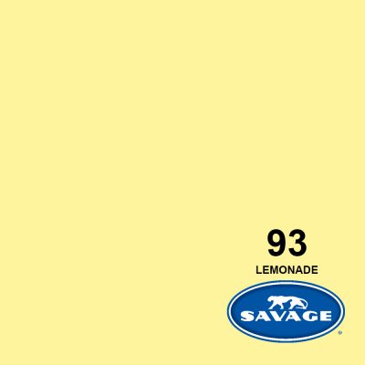 SVG93-12