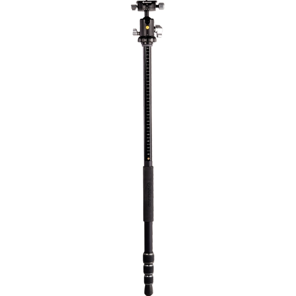 VEO3T+234AB