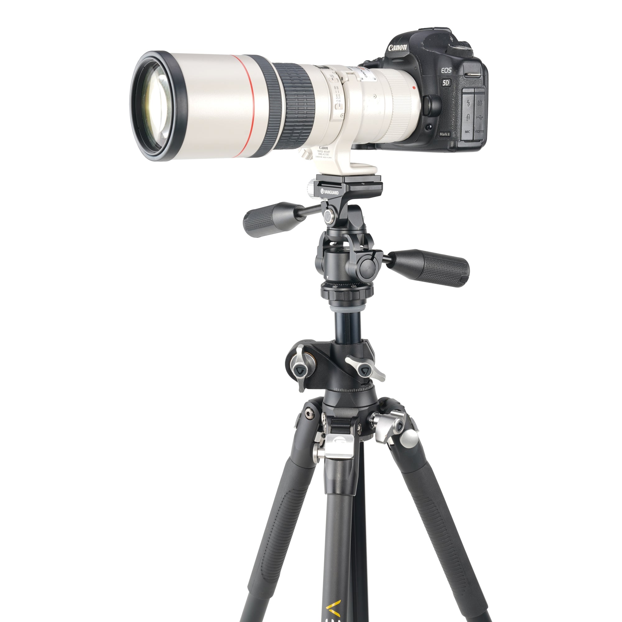 VEO3T+234APS