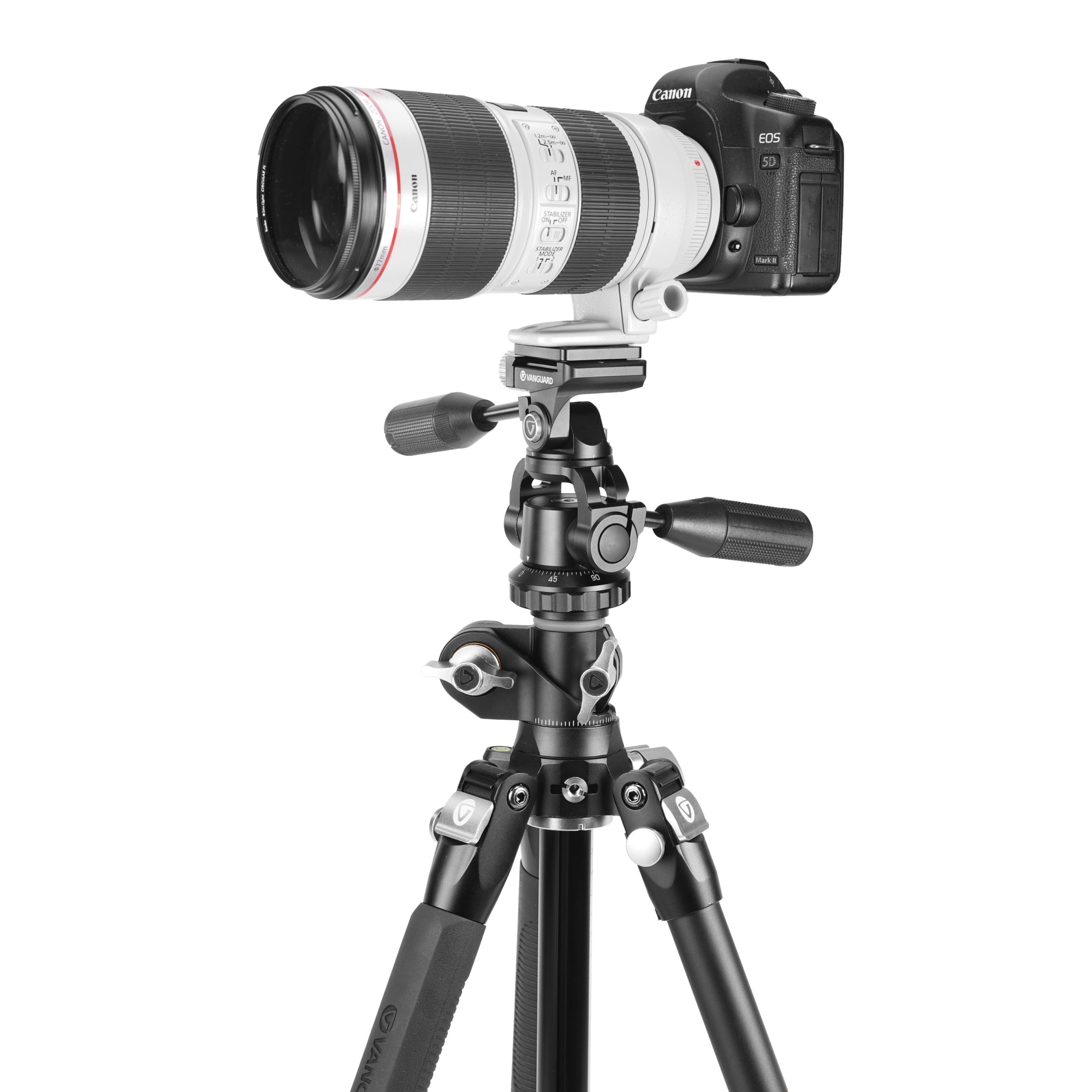 VEO3T+264APS