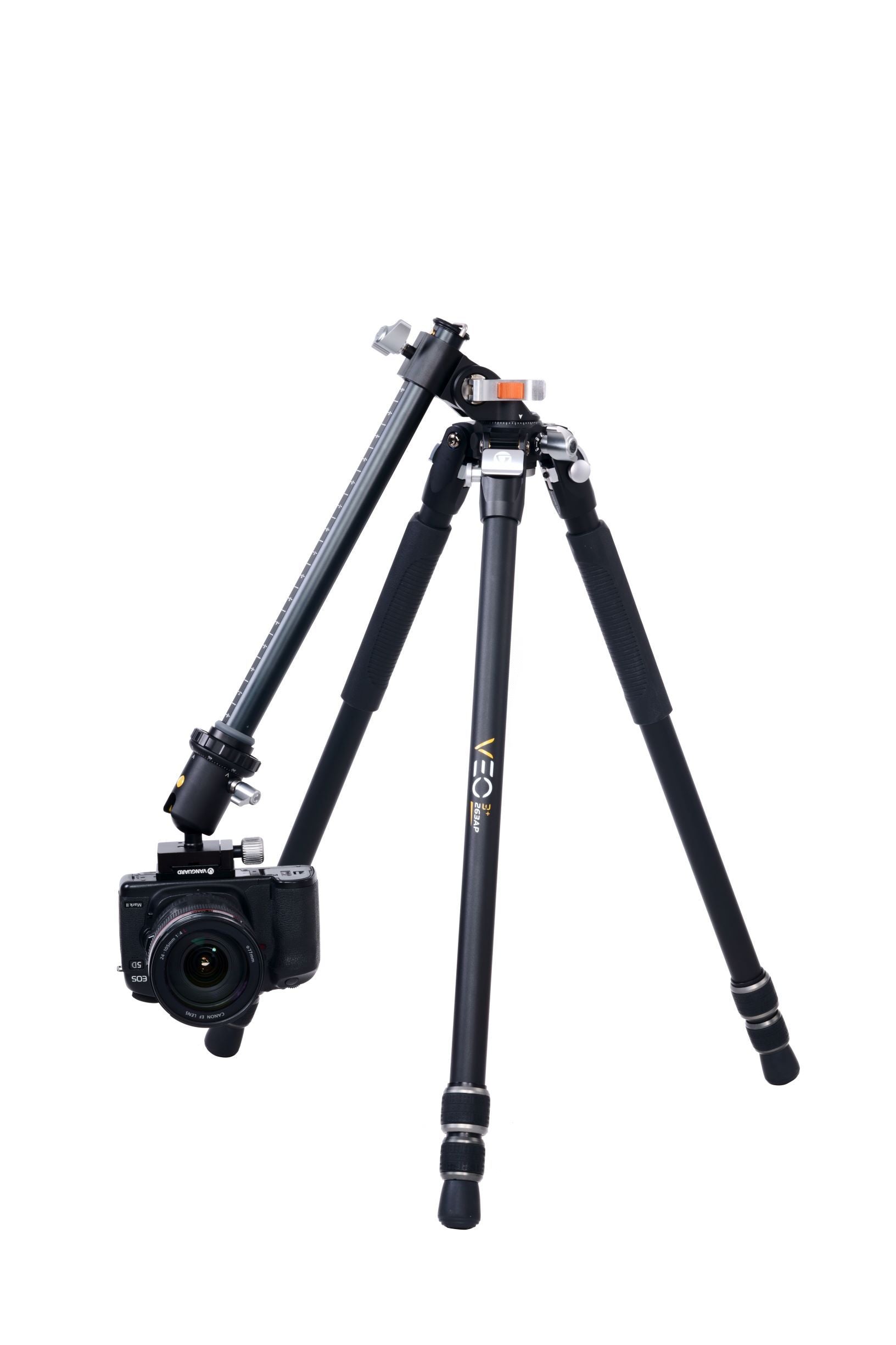 VEO3+263AB