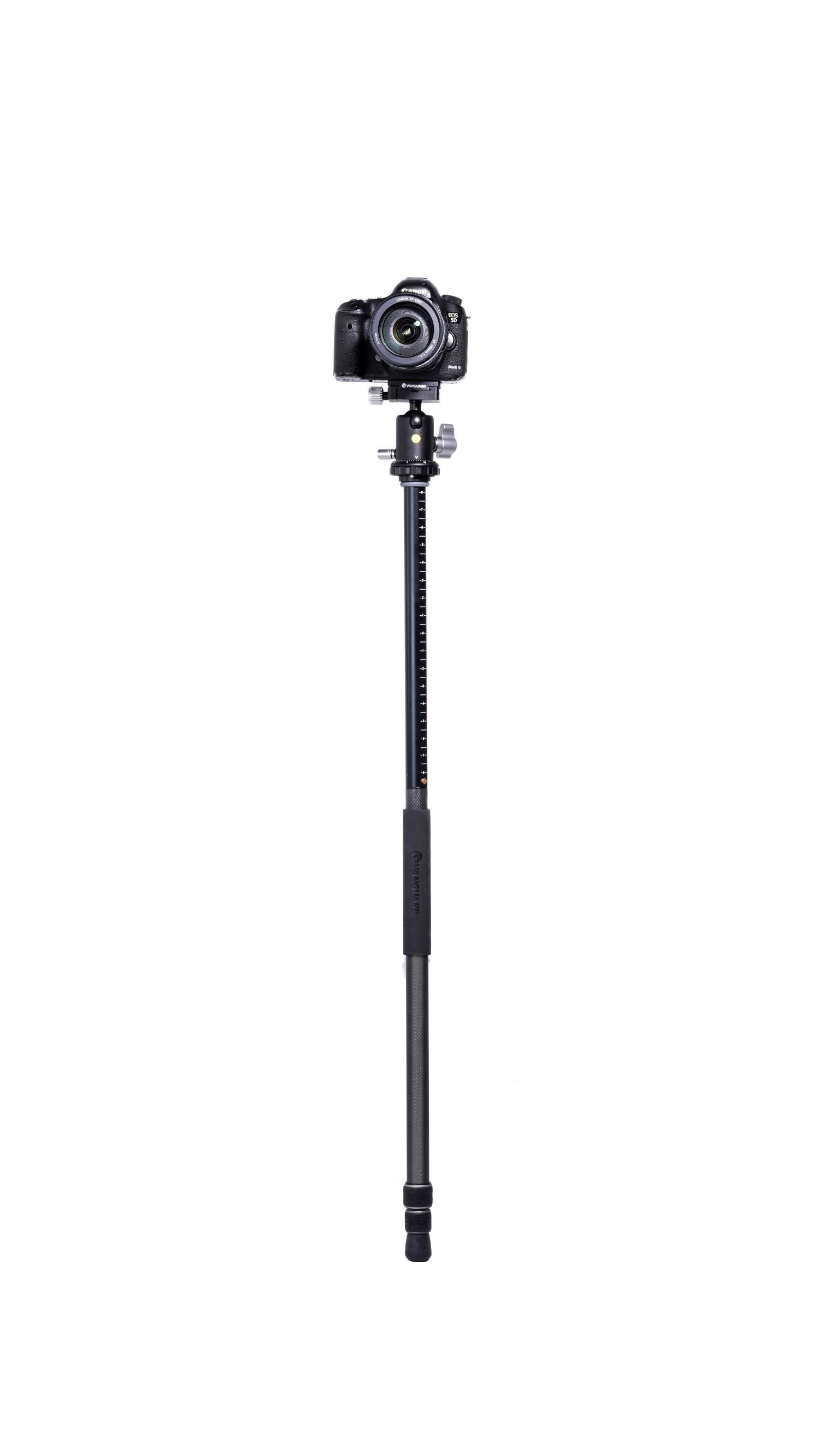VEO3+263CB