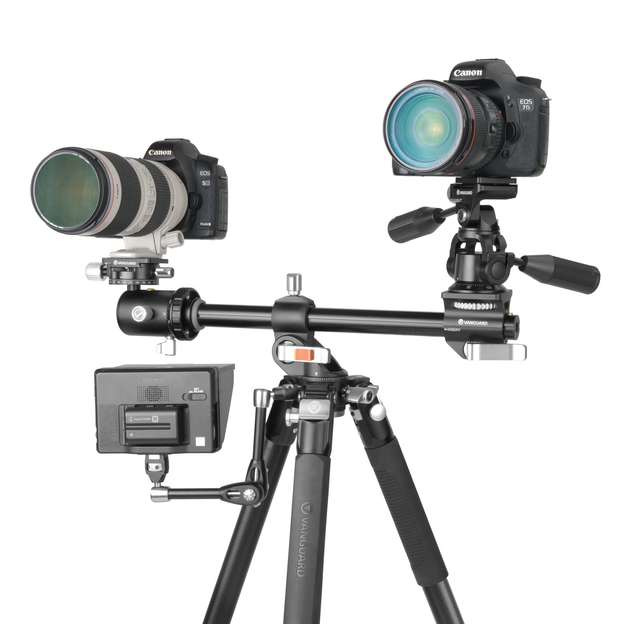 VEO3+303CBS