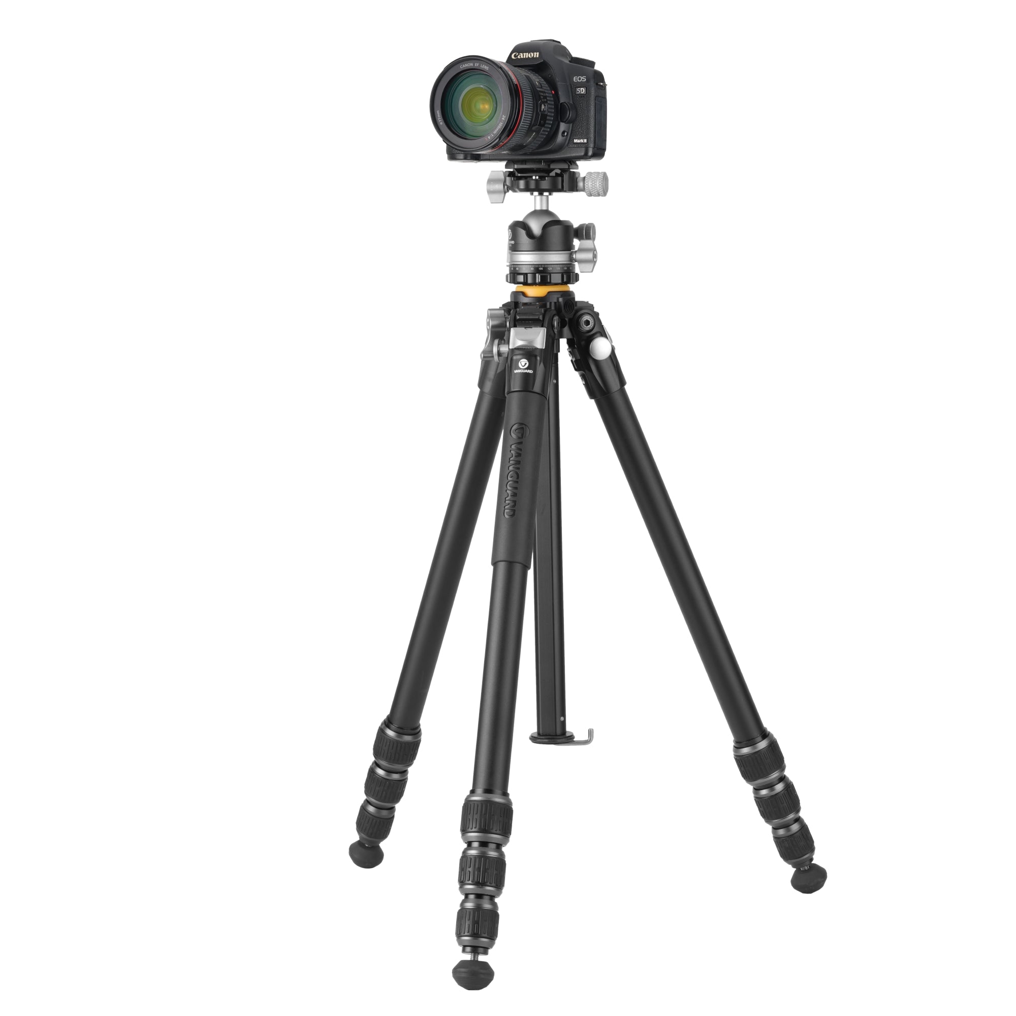 VEO5T234ALBS