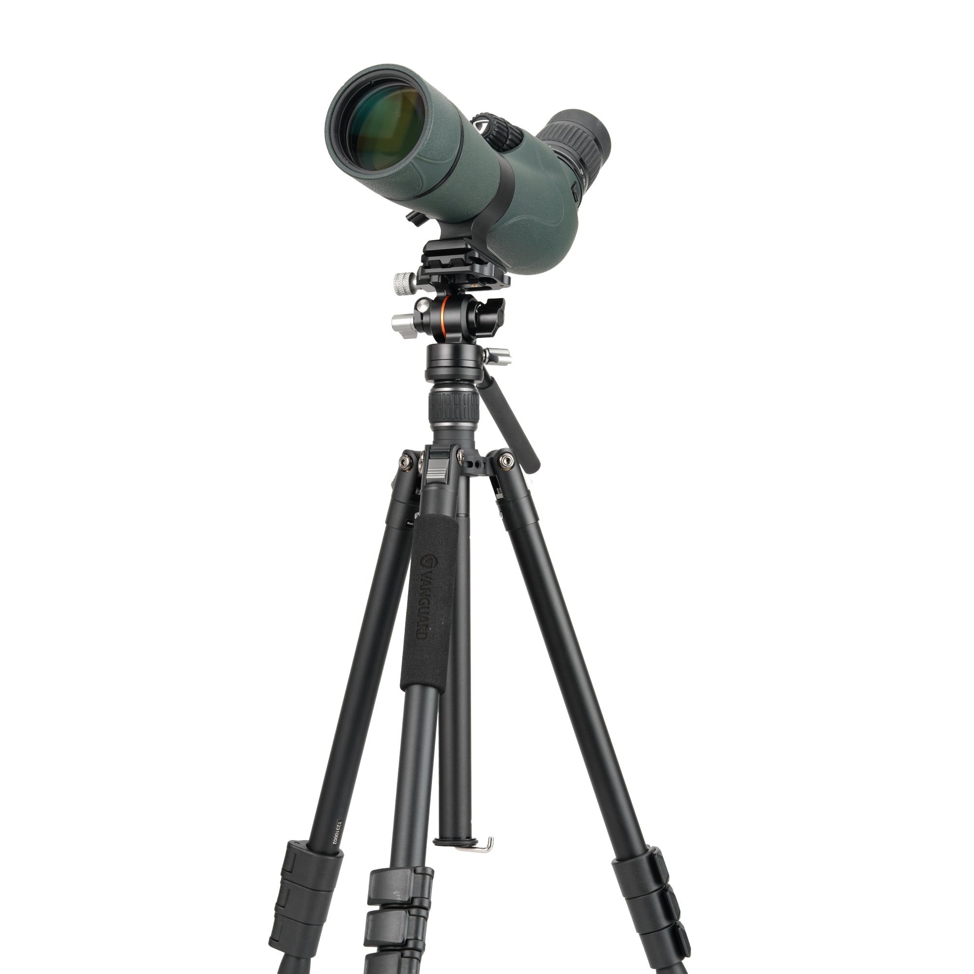 VESTAGO264AV12