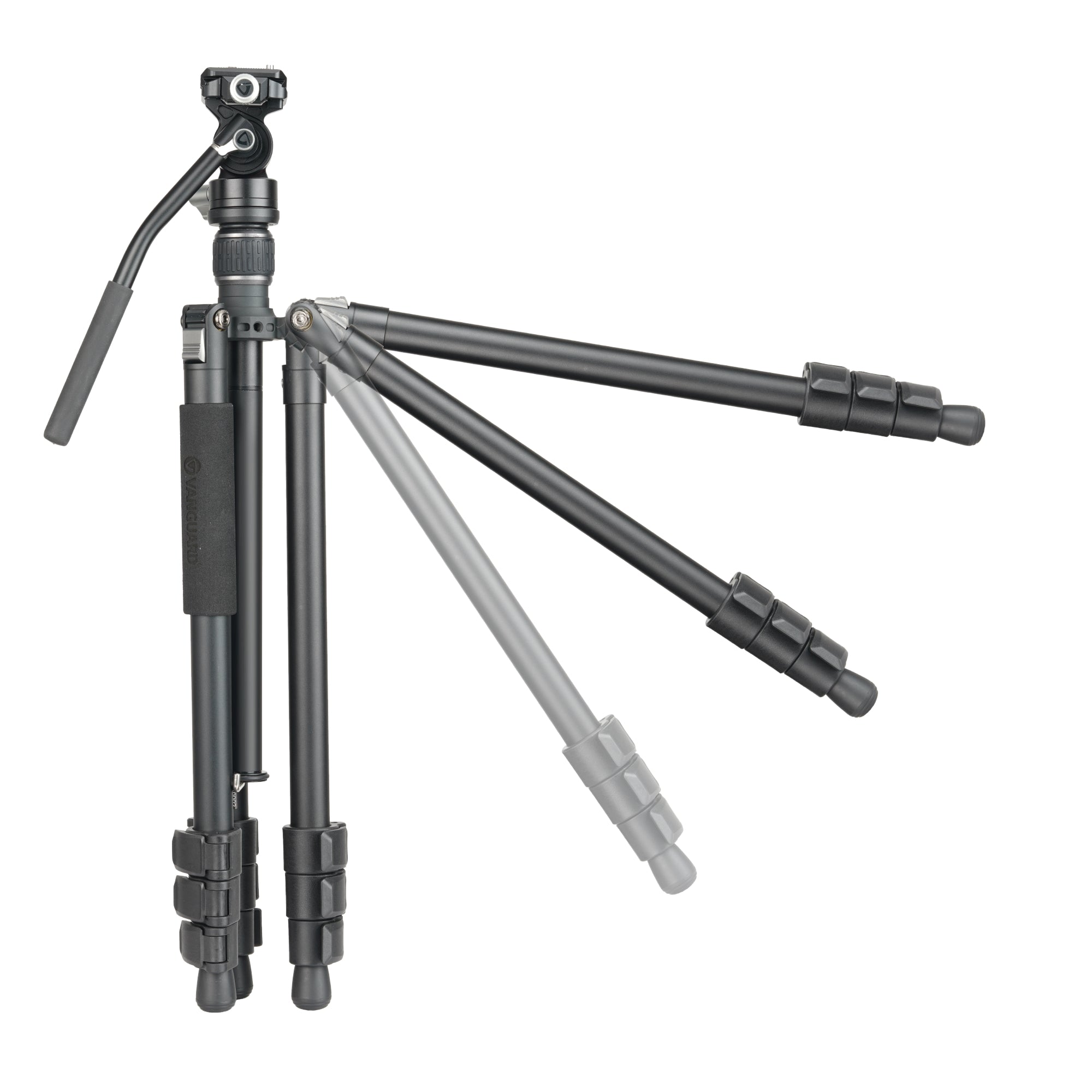 VESTAGO264AV12