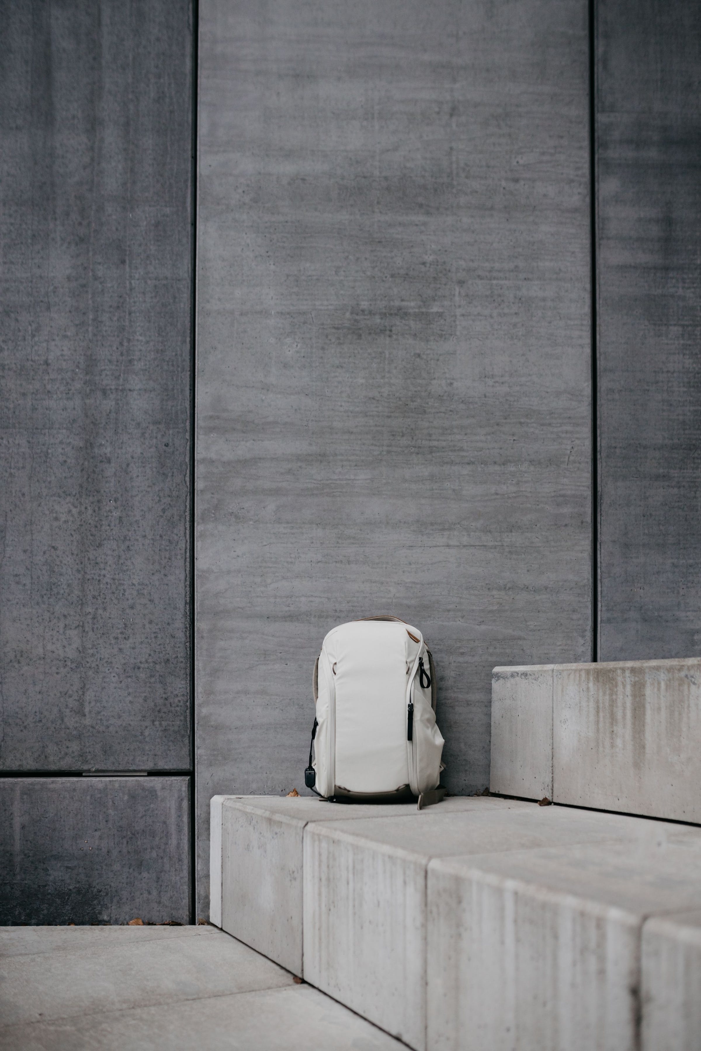 Everyday Backpack 15L Zip v2 // Bone -bianco 15L zip