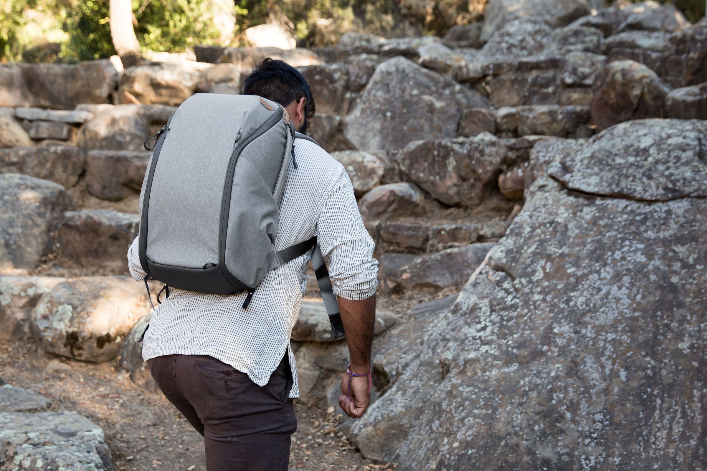 Everyday Backpack 20L Zip v2 // Ash -grigio chairo