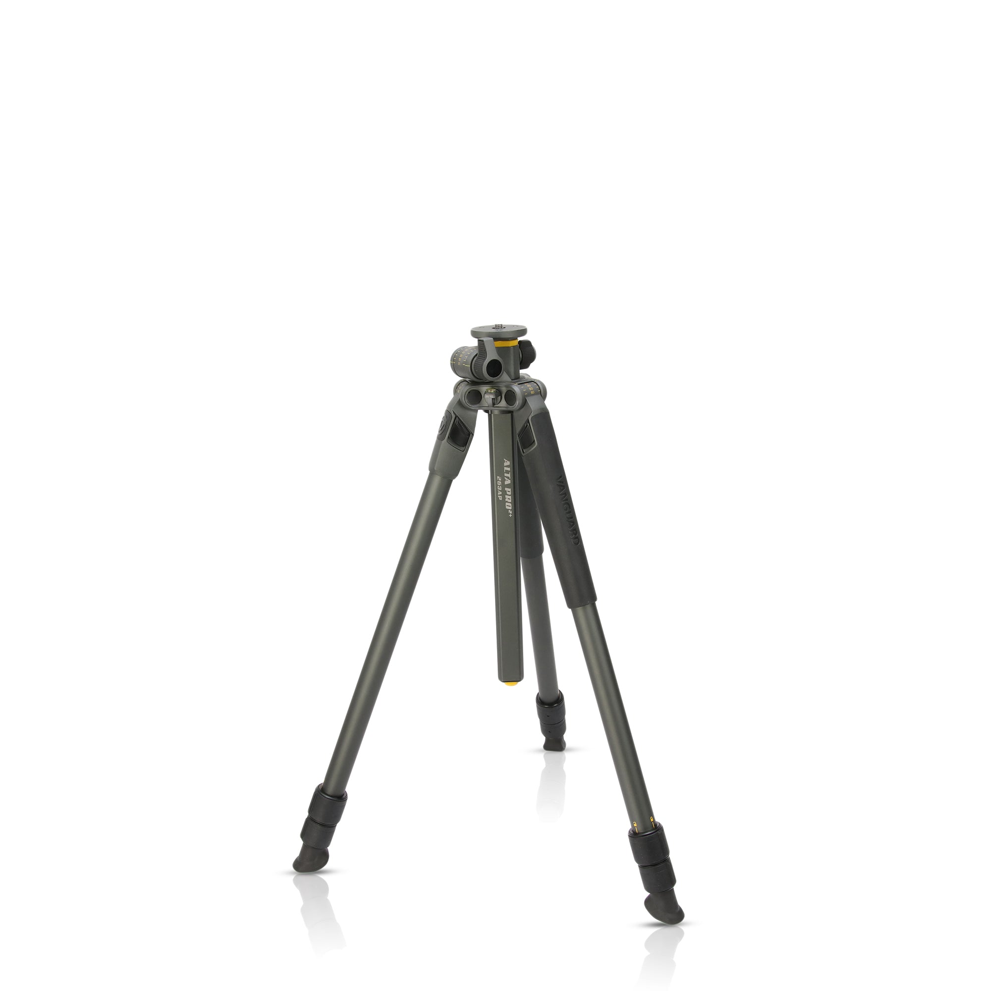 ALTAPRO2+263AP