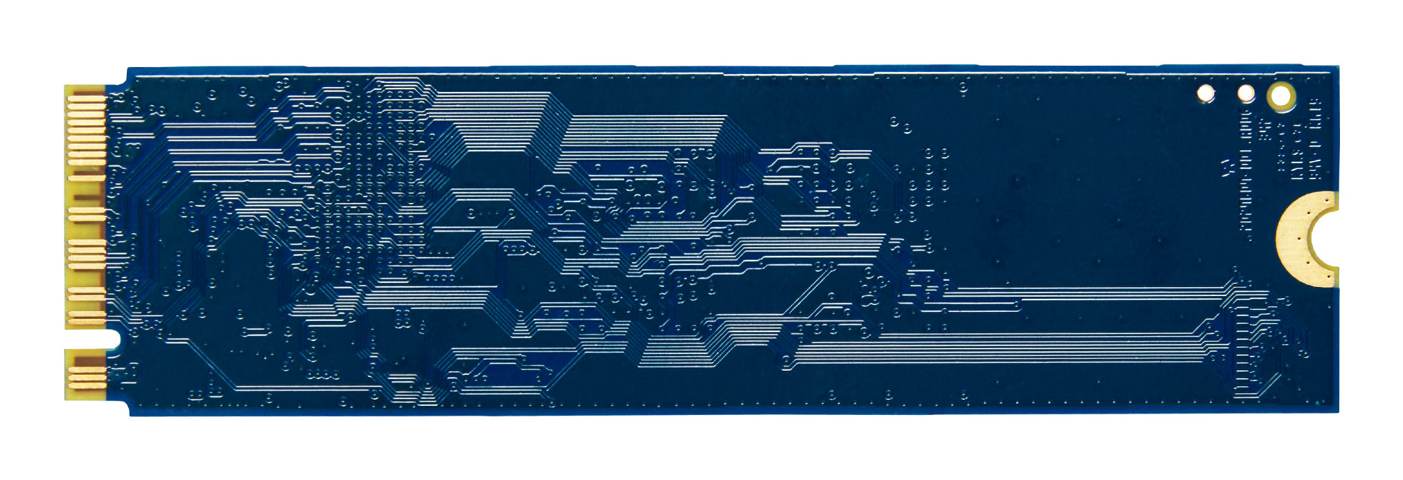 SNV3S/1000G
