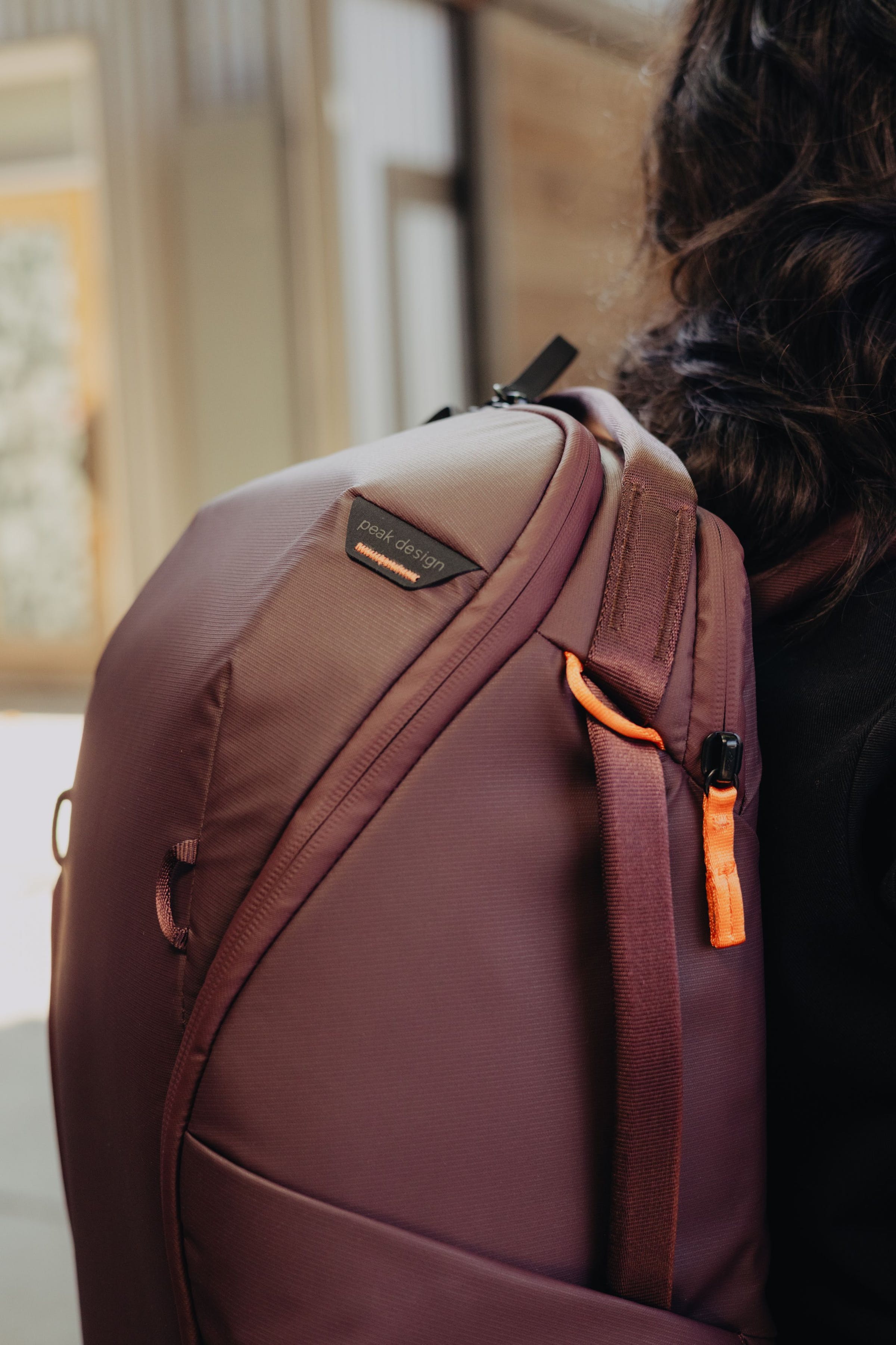 Everyday Backpack 20L - Eclipse (rosso scuro)